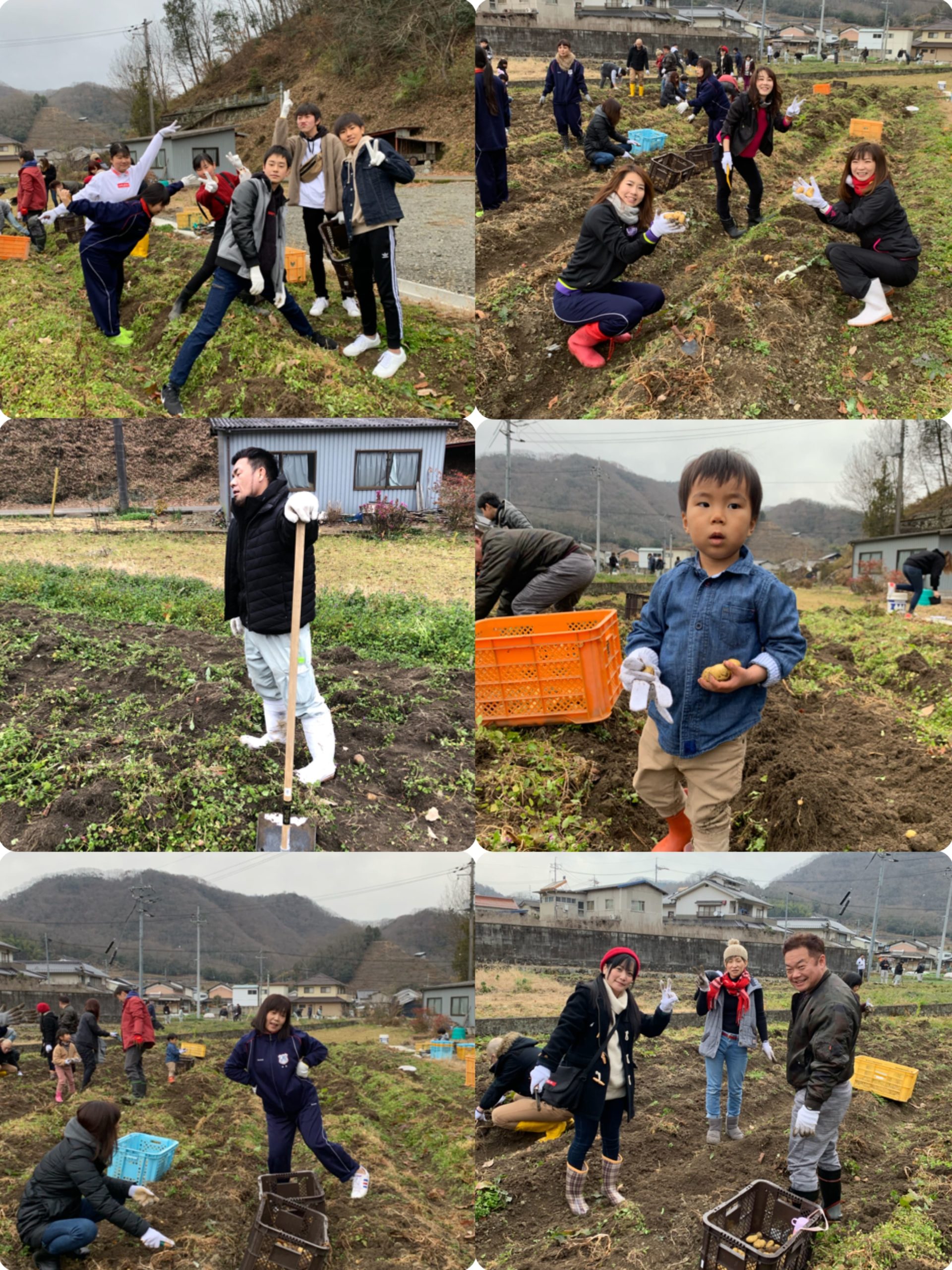 芋掘りイベント