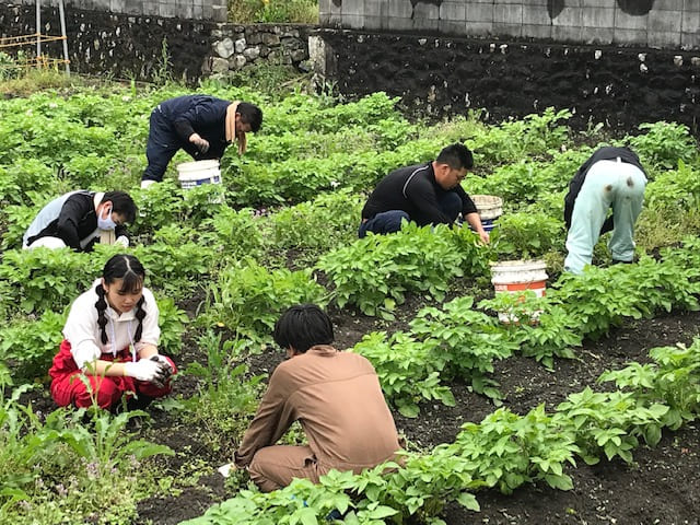 農業体験おしらせ